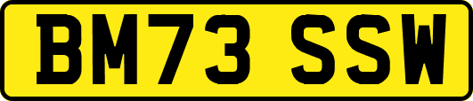 BM73SSW
