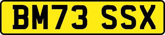 BM73SSX