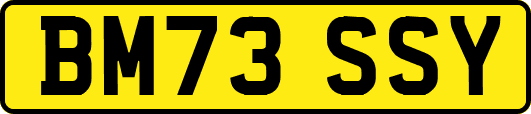 BM73SSY