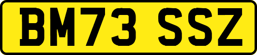BM73SSZ