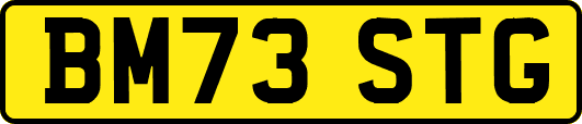 BM73STG