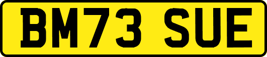 BM73SUE
