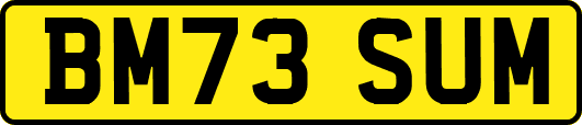 BM73SUM
