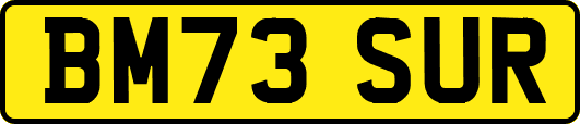 BM73SUR