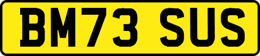BM73SUS