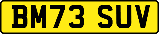 BM73SUV