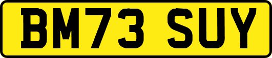 BM73SUY