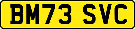 BM73SVC