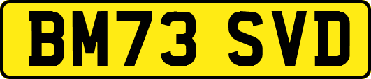 BM73SVD
