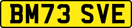 BM73SVE