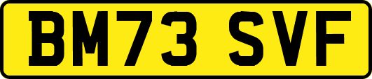 BM73SVF