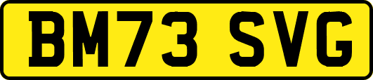BM73SVG