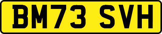 BM73SVH