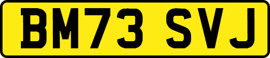 BM73SVJ