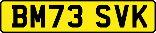 BM73SVK