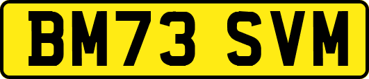 BM73SVM