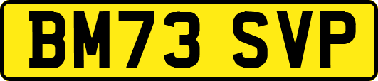 BM73SVP