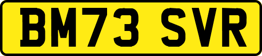 BM73SVR