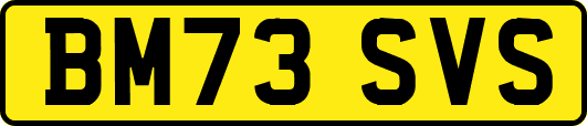 BM73SVS
