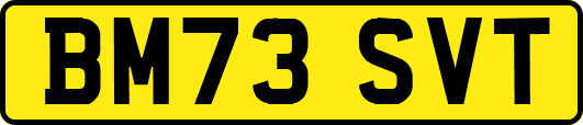 BM73SVT