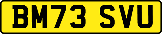 BM73SVU