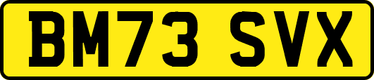 BM73SVX