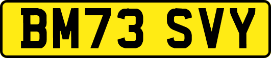 BM73SVY