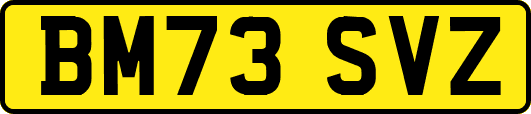 BM73SVZ