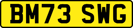 BM73SWG