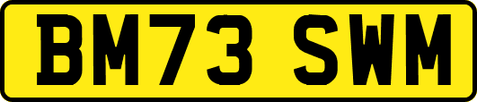 BM73SWM