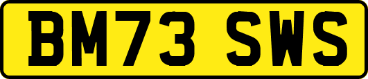 BM73SWS