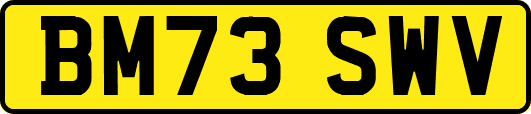 BM73SWV