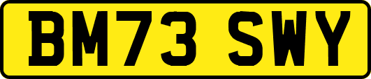 BM73SWY