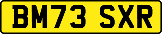 BM73SXR