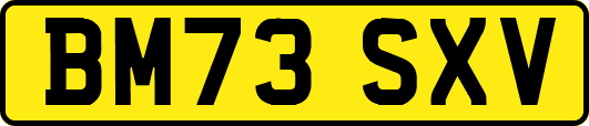 BM73SXV