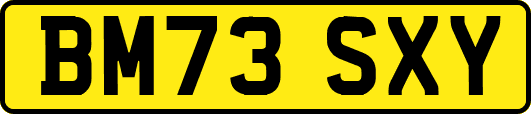 BM73SXY