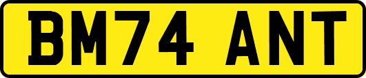 BM74ANT