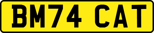 BM74CAT