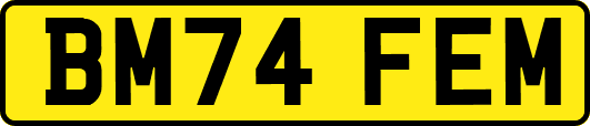 BM74FEM