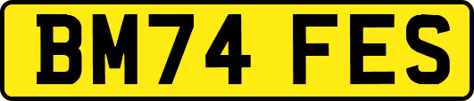 BM74FES
