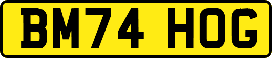 BM74HOG