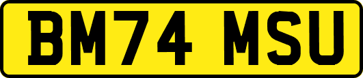 BM74MSU
