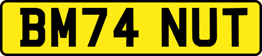 BM74NUT