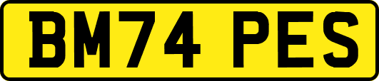 BM74PES