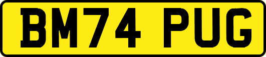 BM74PUG
