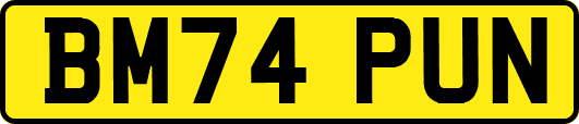 BM74PUN