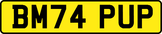 BM74PUP