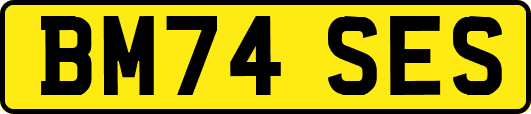 BM74SES