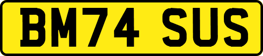BM74SUS
