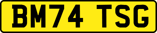 BM74TSG